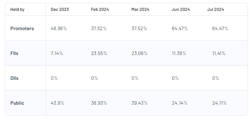 Shareholding Pattern For Vertoz Ltd