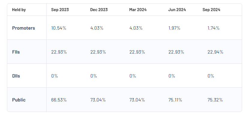 Blue Cloud Softech Solutions Ltd Shareholding Pattern