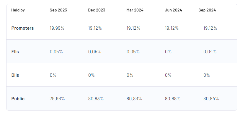 Excel Realty N Infra Ltd Shareholding Pattern