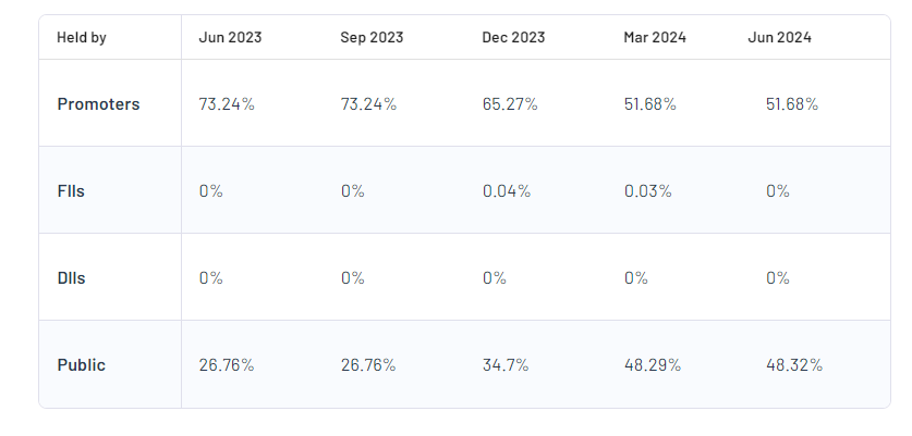 Rajnandini Metal Ltd Shareholding Pattern