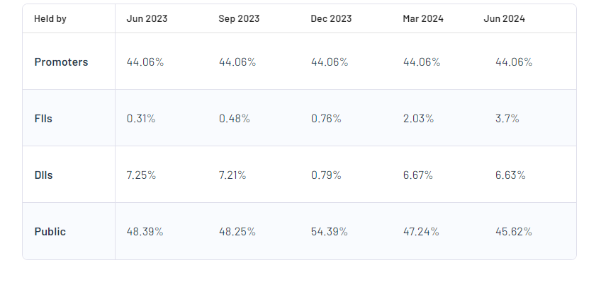 RattanIndia Power Ltd Shareholding Pattern