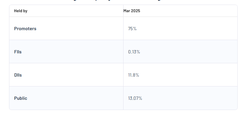 SEL Manufacturing Company Ltd Shareholding Pattern