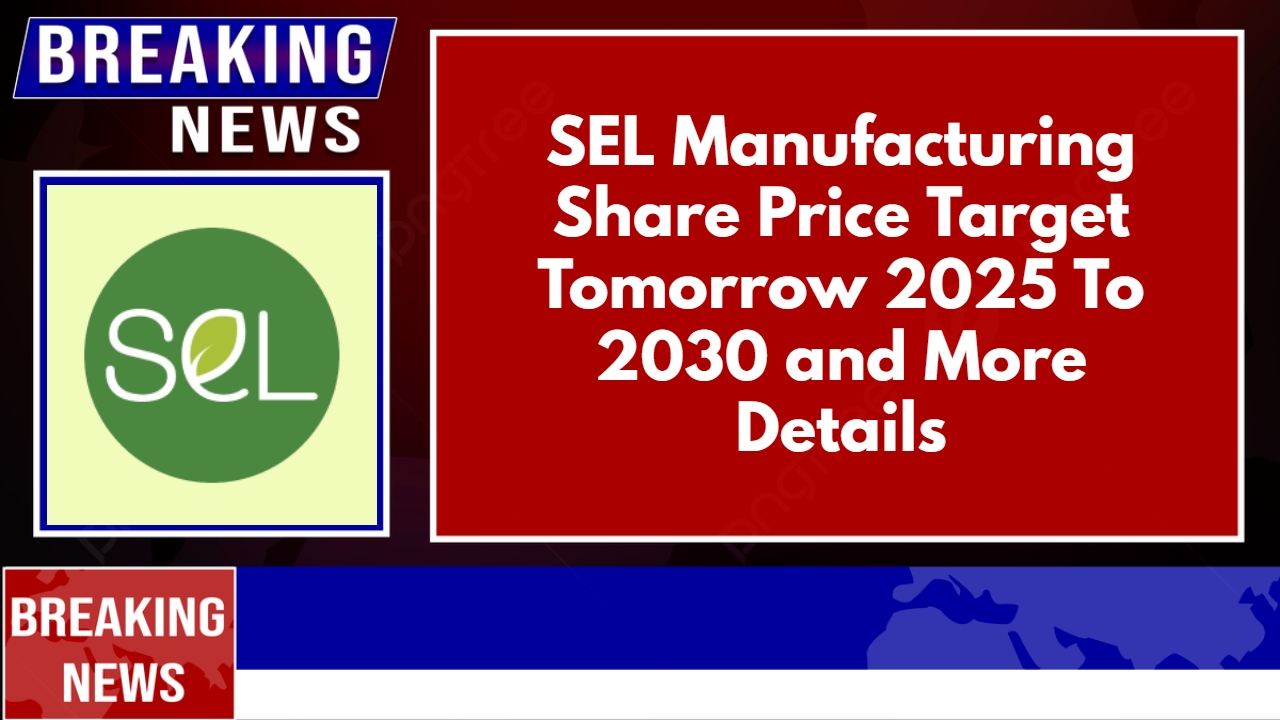 SEL Manufacturing Share Price Target