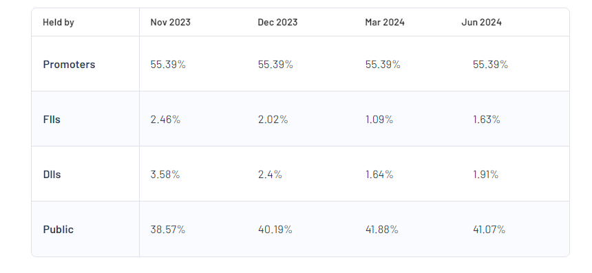 Tata Technologies Ltd Shareholding Pattern