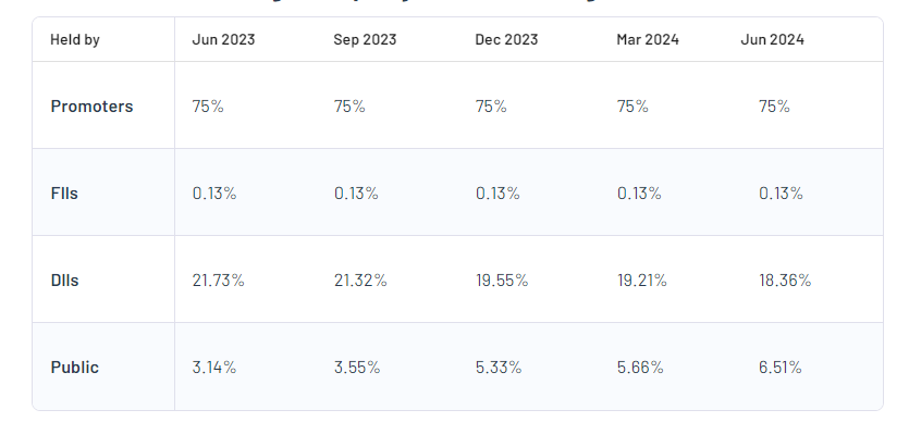 SEL Manufacturing Company Ltd Shareholding Pattern