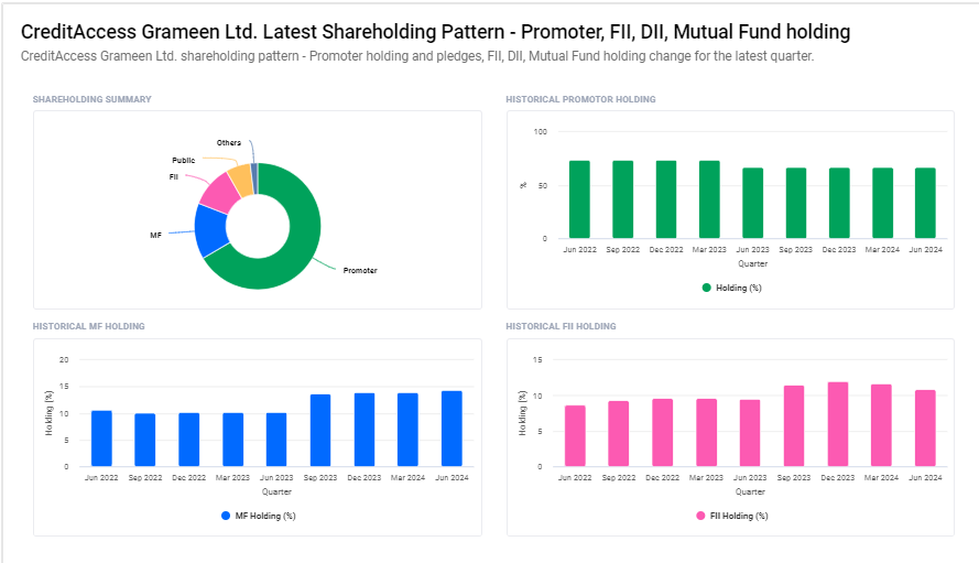 Shareholding Pattern For CreditAccess Grameen Ltd