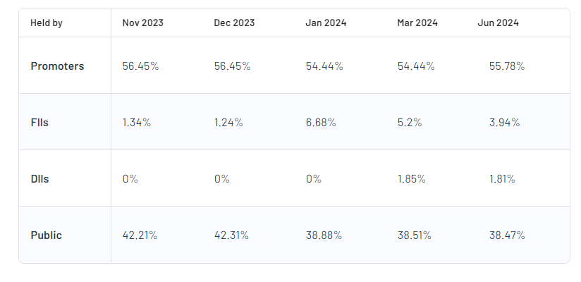 Shareholding Pattern For Goodluck India Ltd