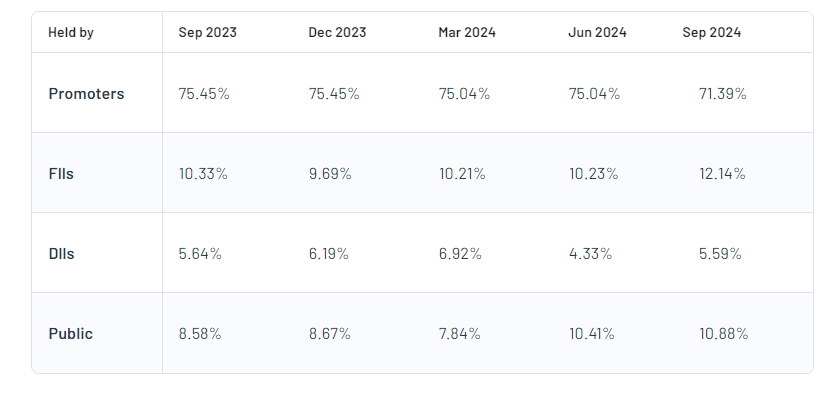 Shareholding Pattern For Netweb Technologies India Ltd