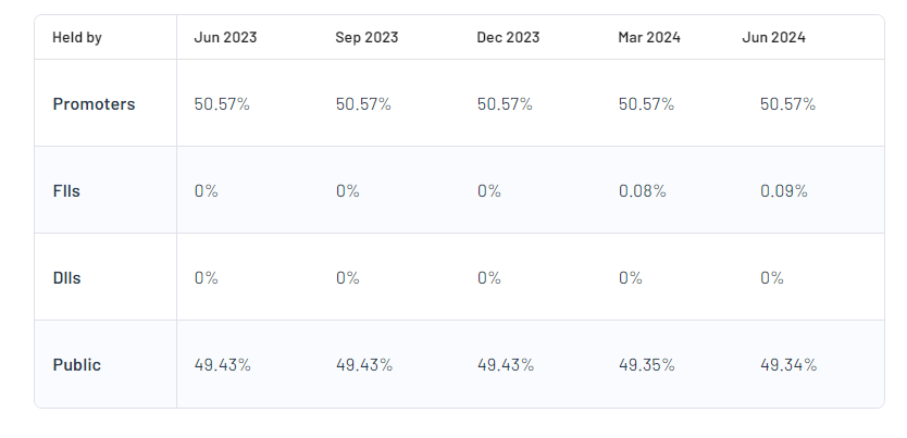 Shareholding Pattern For Syncom Formulations (India) Ltd