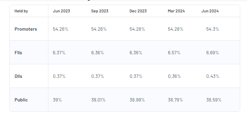 Shareholding Pattern For V2 Retail Ltd