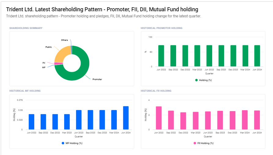 Trident Ltd Shareholding Pattern