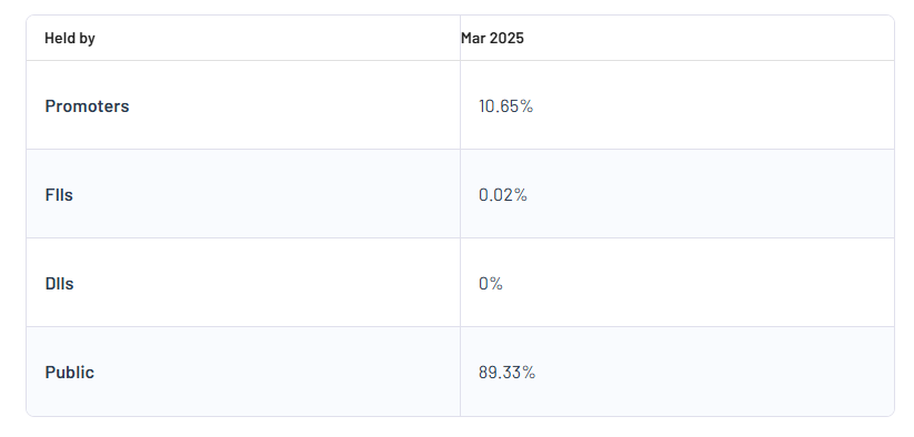 Vikas Ecotech Ltd Shareholding Pattern