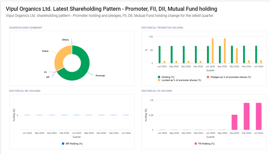 Vipul Organics Ltd Shareholding Pattern