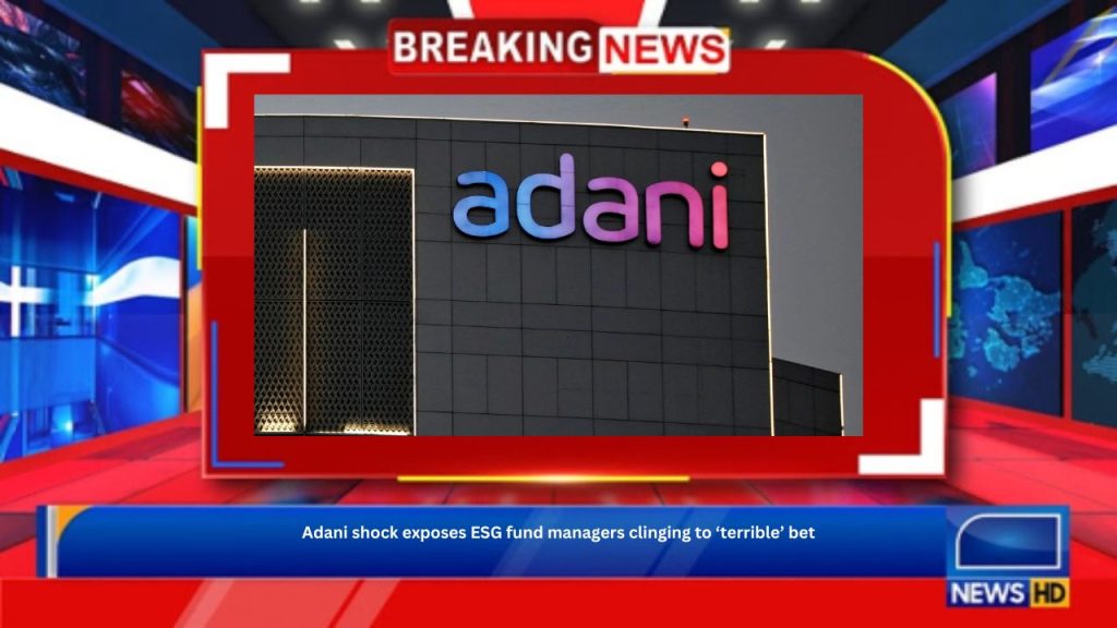 Adani shock exposes ESG fund managers clinging to ‘terrible’ bet