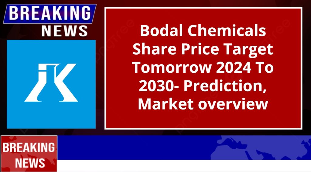 Bodal Chemicals Share Price Target