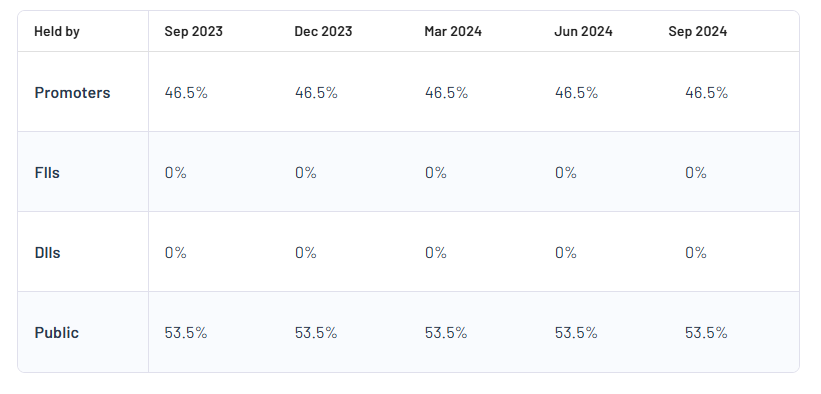 Chandni Machines Ltd Shareholding Pattern