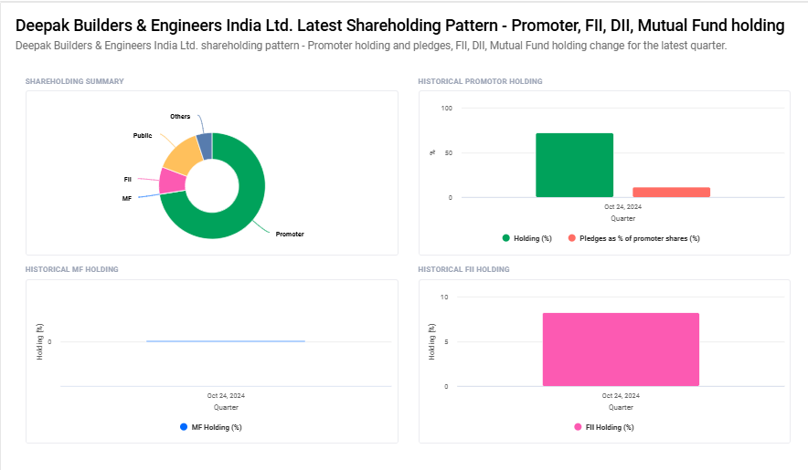 Deepak Builders & Engineers India Ord Shs Shareholding Pattern