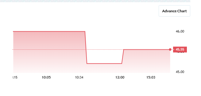 Precision Metal Share Price Chart