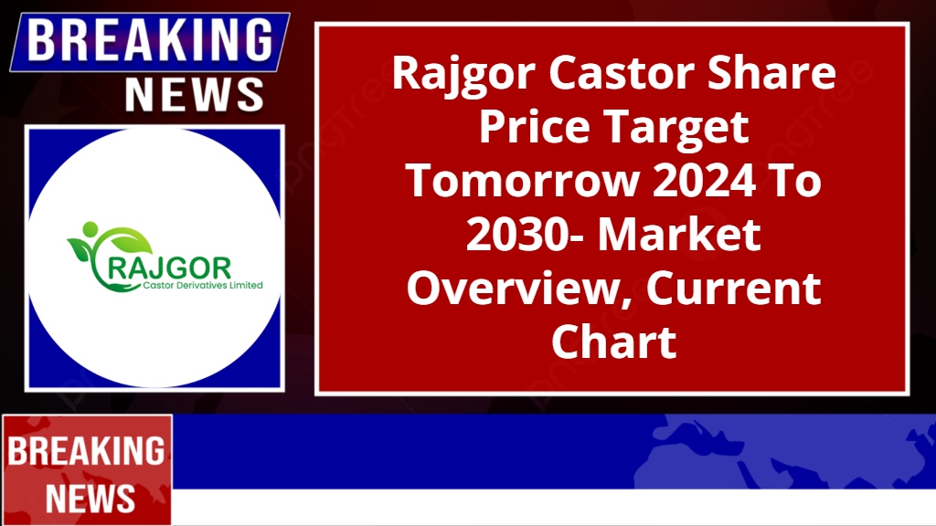 Rajgor Castor Share Price Target