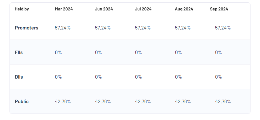 Rubfila International Ltd Shareholding Pattern