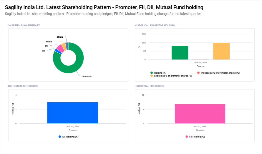 Sagility India Ltd Shareholding Pattern