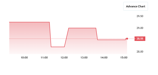 Rajgor Castor Share Price Chart