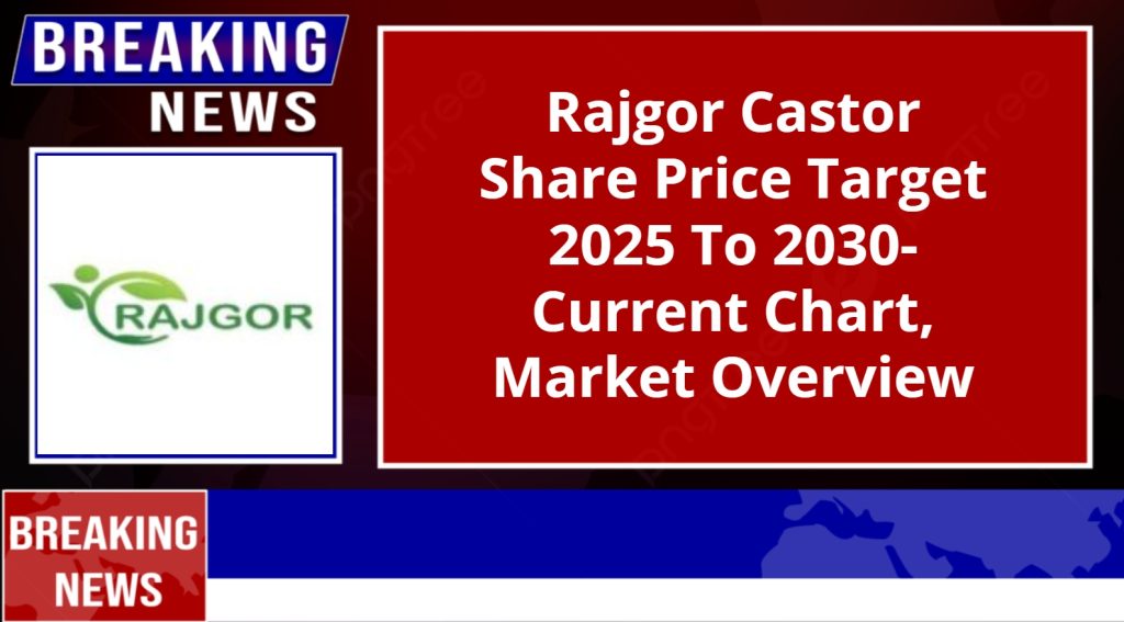 Rajgor Castor Share Price Target 2025