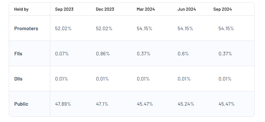 Shareholding Pattern For Alankit Ltd