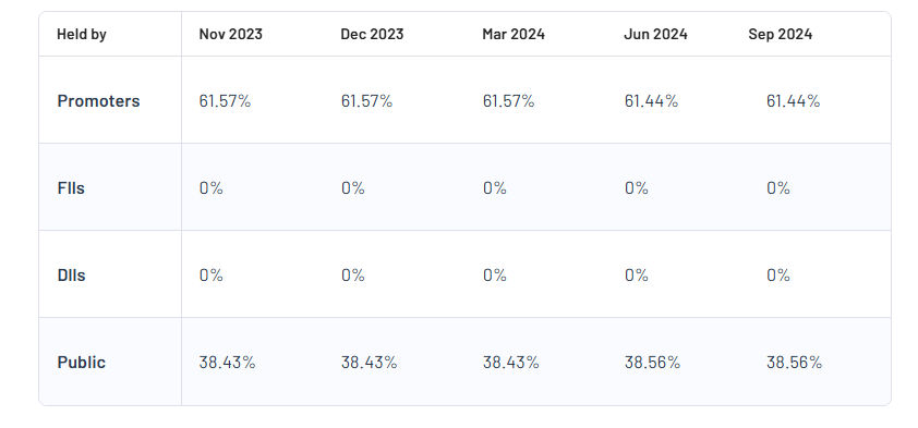 Shareholding Pattern For Athena Global Technologies Ltd