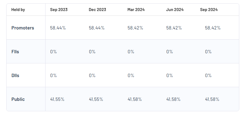 Super Tannery Ltd Shareholding Pattern