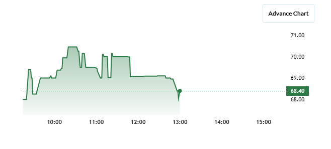 Vibrant Glo Cap Share Price Chart