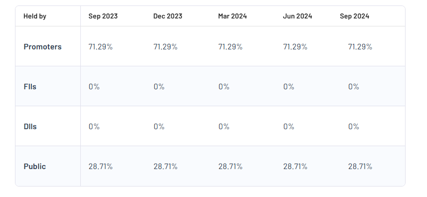 Vibrant Global Capital Ltd Shareholding Pattern