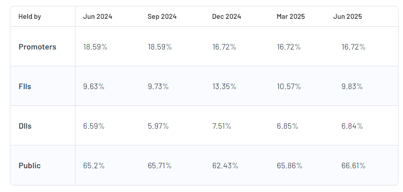 HCC Shareholding Pattern