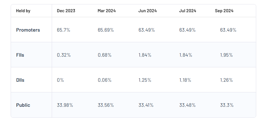 Lloyds Metals And Energy Ltd Shareholding Pattern