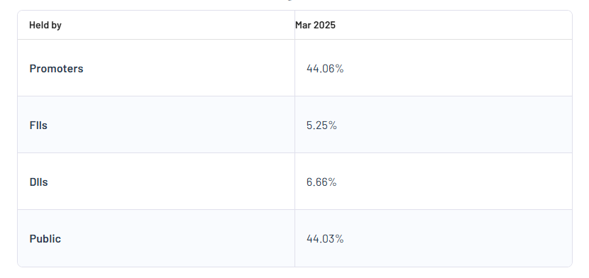 RattanIndia Power Ltd Shareholding Pattern