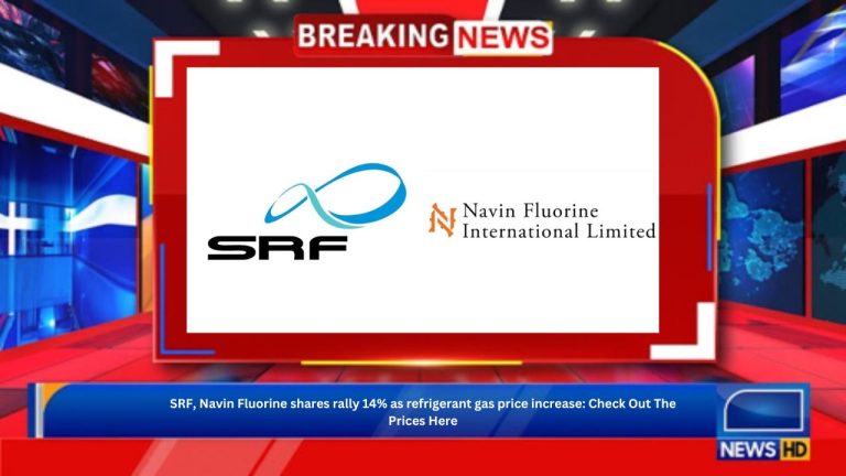 SRF, Navin Fluorine shares rally 14% as refrigerant gas price increase: Check Out The Prices Here