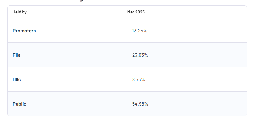 Suzlon Energy Ltd Shareholding Pattern