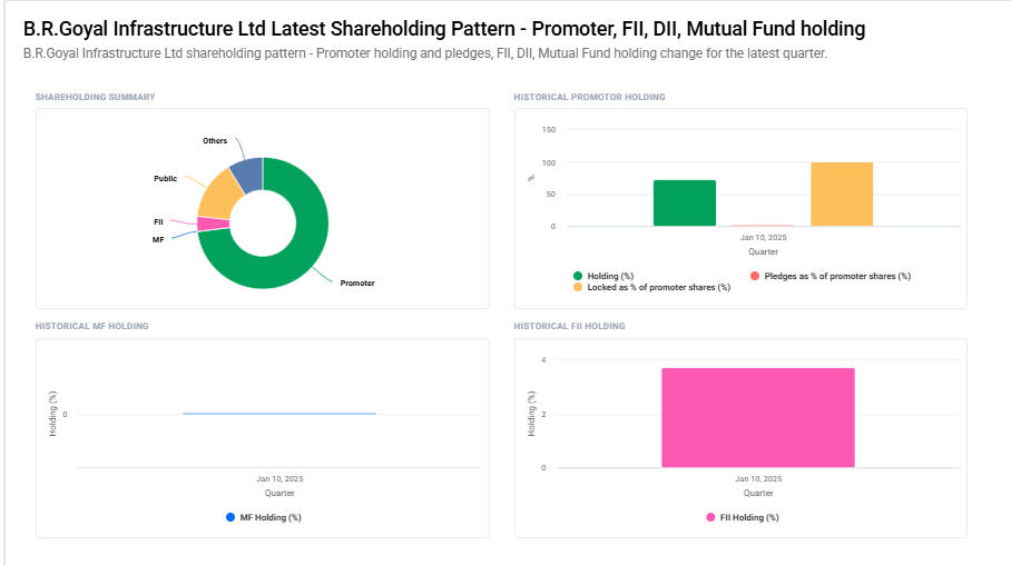 Shareholding Pattern For B.R.Goyal Infrastructure Ltd