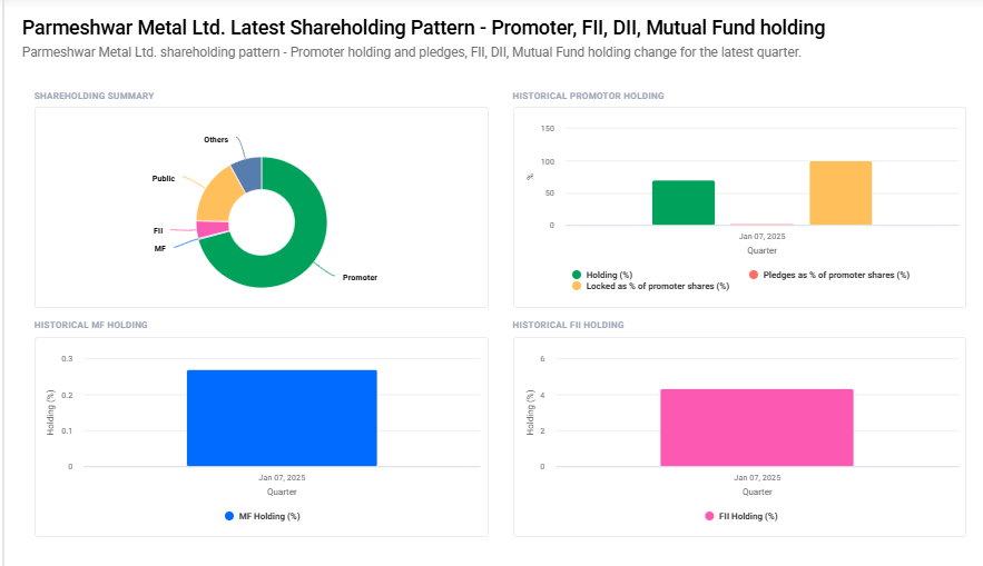 Shareholding Pattern For Parmeshwar Metal Ltd