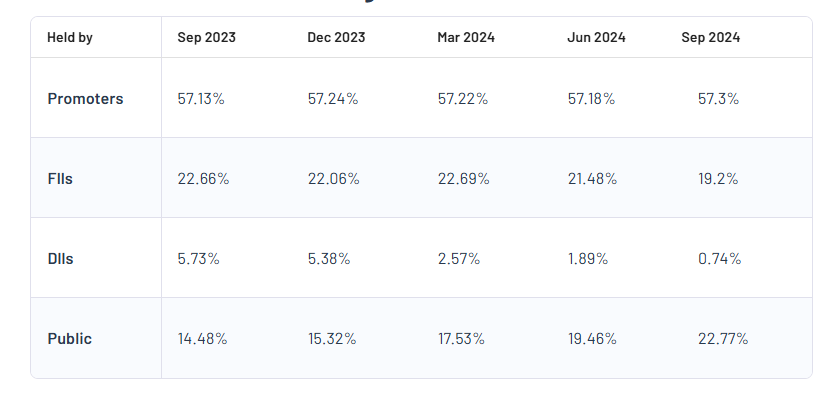 Shareholding Pattern For Vaibhav Global Ltd