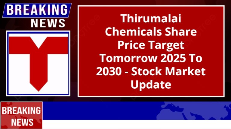 Thirumalai Chemicals Share Price Target