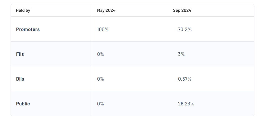 Vision Infra Equipment Solutions Ltd Shareholding Pattern