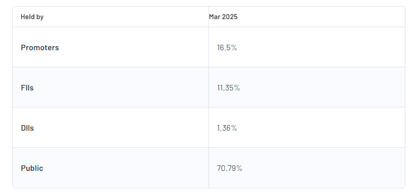 Reliance Infrastructure Ltd Shareholding Pattern