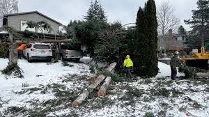 Urgent: Oregon's Weather Turns Treacherous with Incoming Storms