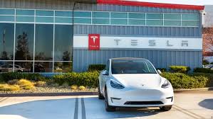 Tesla Tumbles! Dan Ives Stands Firm as Stock Approaches 50% Drop